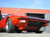 imgp2488_pantera.jpg