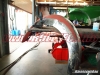 VW Brezel Käfer Cabrio Restauration